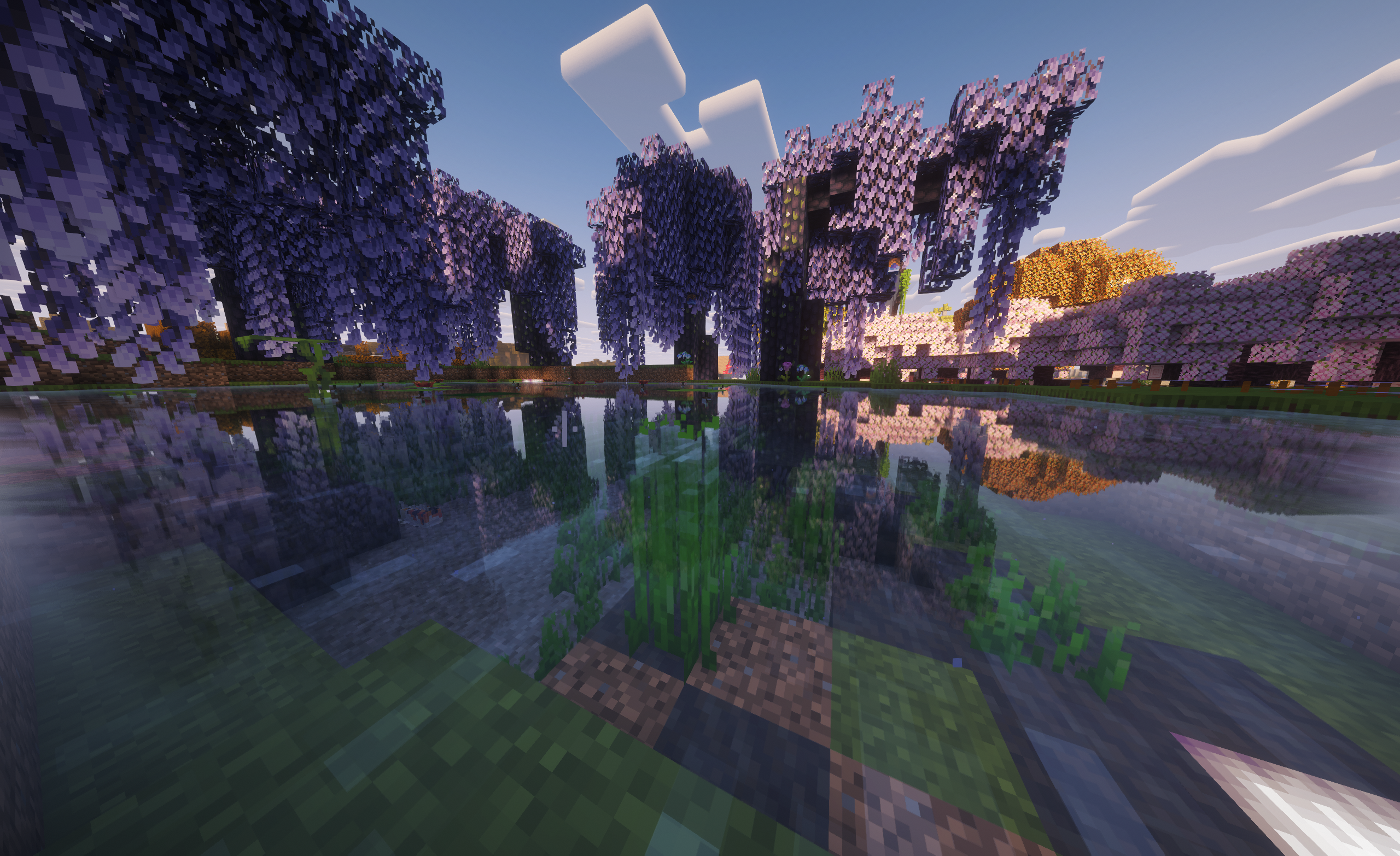 Some random purple trees on sunlit valley
