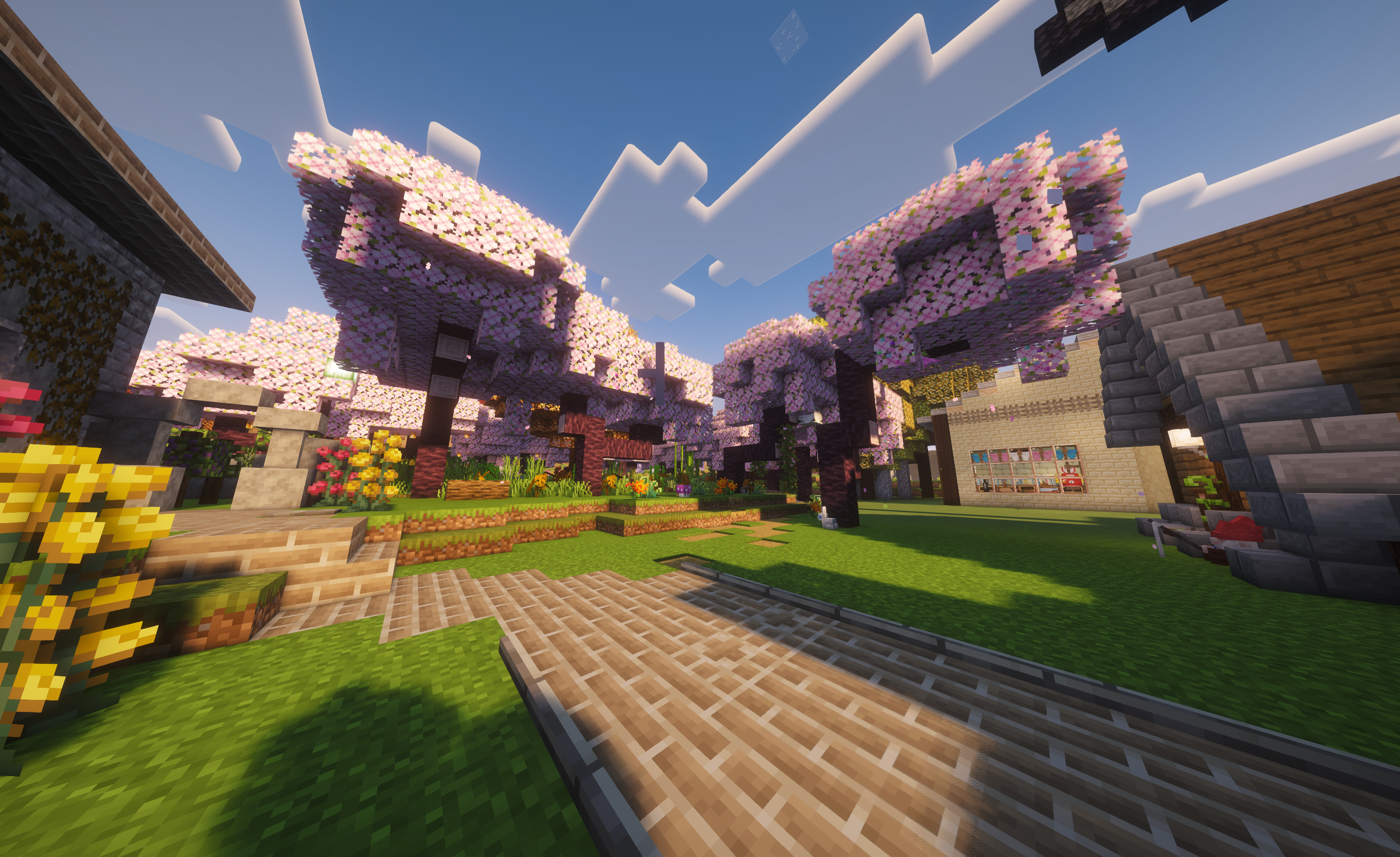 Trees on sunlit valley
